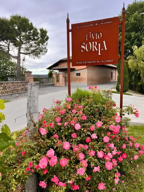 Tour and Wine Tasting between Langhe and Monferrato - The Experience in Detail: What to Expect