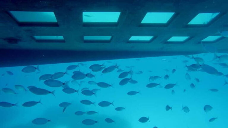 Tour bateau avec vision sous-marine/Sites classés+Baignade - An In-Depth Look at the Tour