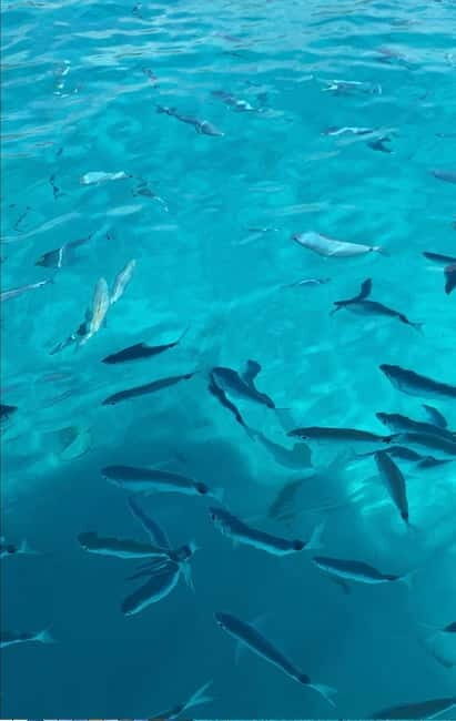 Tour "Coast of the Gods" by Boat - Why This Tour Offers Value