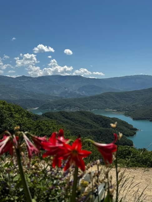 Tour From Durres/Golem Bovilla Lake & Gamti Mountain - Authentic Insights from Travelers