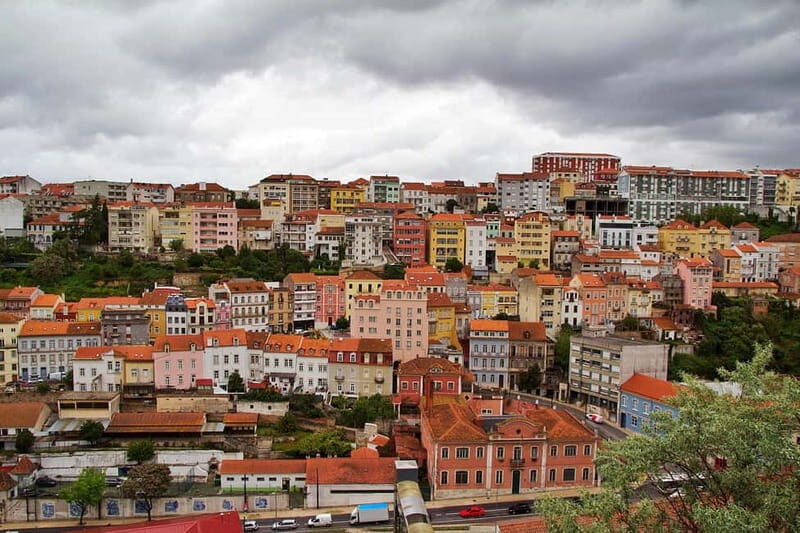 Tour from Lisbon: Aveiro, Coimbra, Conímbriga, and the Palace of Bussaco - Who Will Love This Tour?