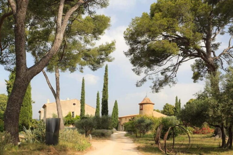 Tour of the Bandol and Côtes de Provence vineyards + Lunch - What Makes This Tour Worth It?