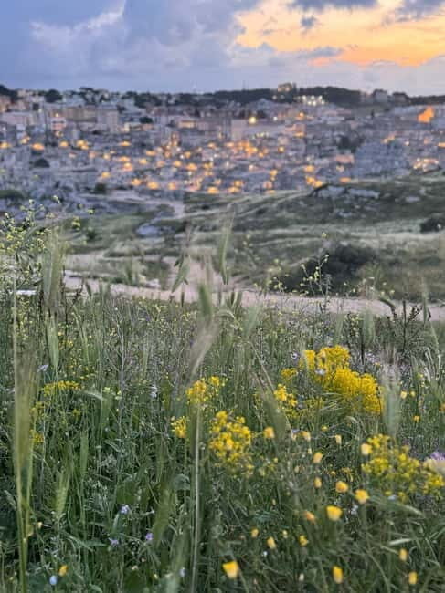 Tour of the Murgia Materana Park and the Sassi at sunset - Logistics and Practical Details
