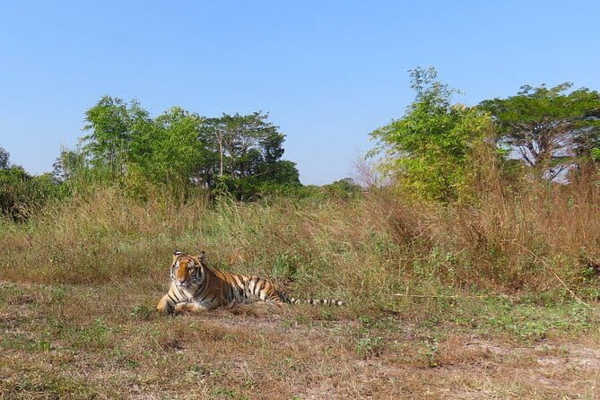 Tour of the Wildlife Rescue Center - Exploring the Itinerary in Detail