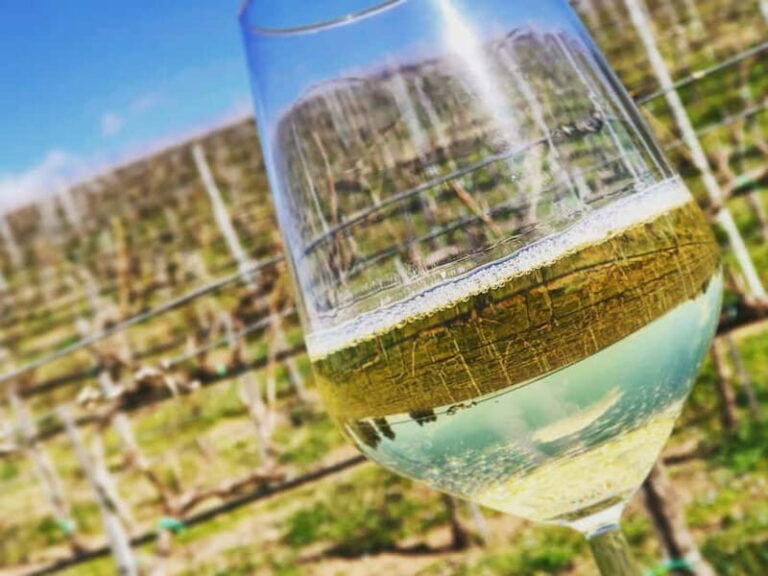 Tour & Tasting at Cantine Capitani - Discovering Cantine Capitani: A Closer Look