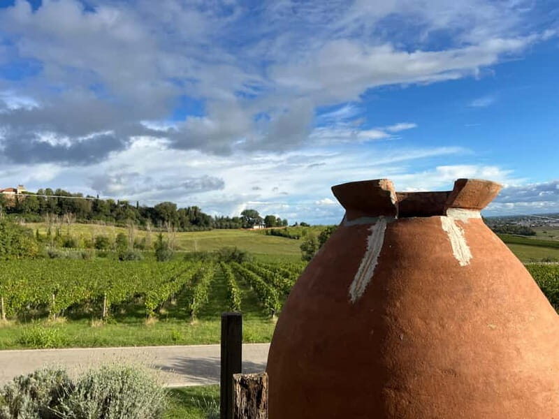 Tour & tasting at Tenuta la Viola - Who Should Consider This Tour?