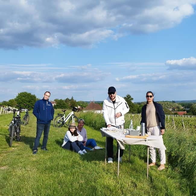 Touraine wine & cheese ebike ride, tasting in the vineyards - What Travelers Say About the Experience