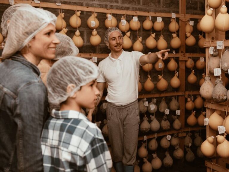 Traditional Cheese Factory Visit with Tasting near Isernia - The Itinerary Breakdown