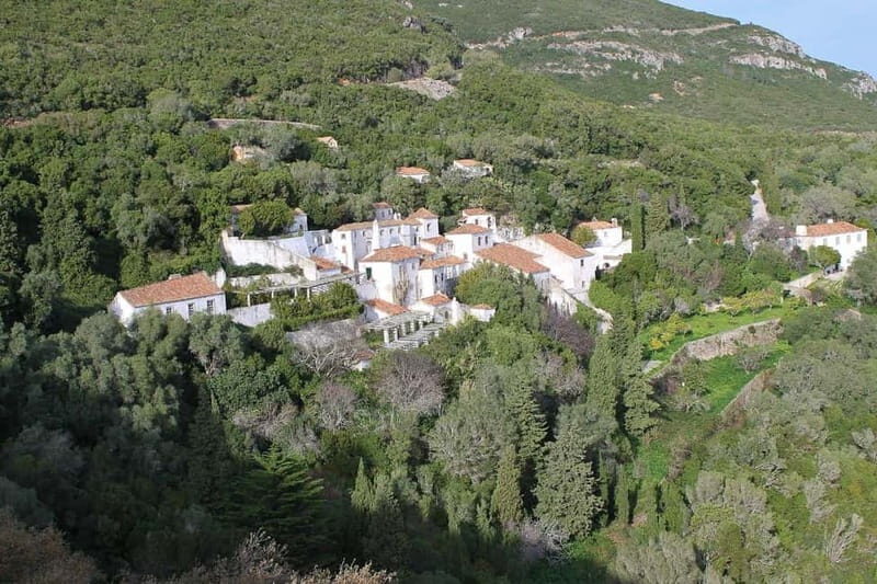 Traditional Private Setúbal Food Tasting Experience - Why This Tour Is a Win for Travelers