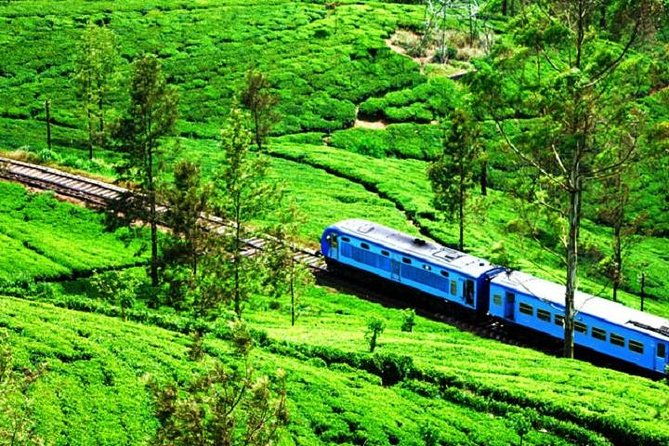Train Tickets from Nanuoya (NuwaraEliya) to Ella - Key Points