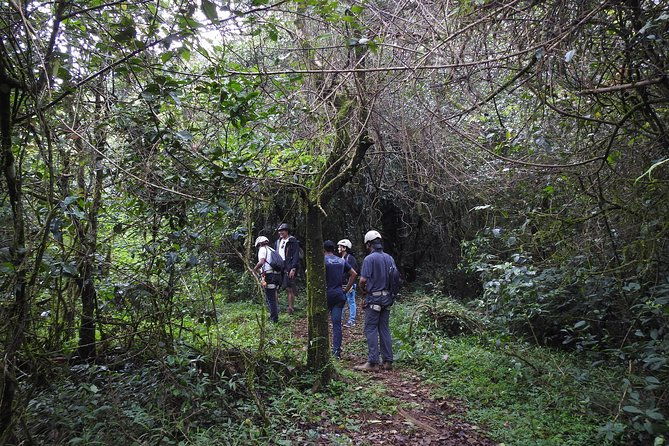 Tree Top Adventure - Key Points