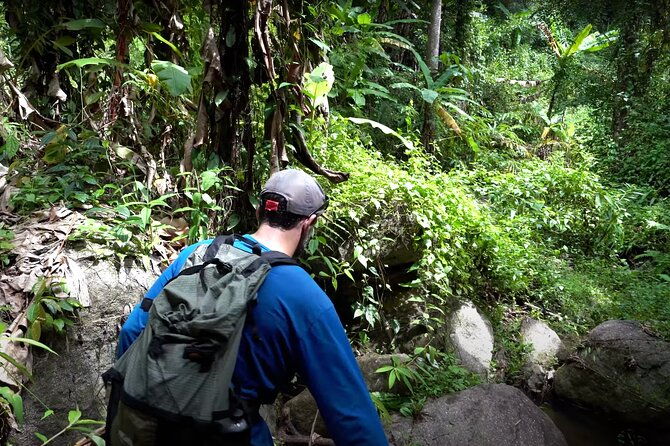 Trek to a Jungle Waterfall - Overview of the Experience