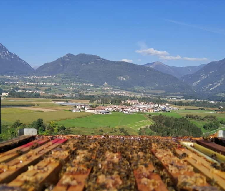 Trentino Agriconda: The adventure of the queen bee. We will explore the beehives. - How This Tour Stands Out
