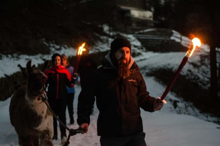 Triesenberg: Walking Tour with Llamas and Cheese Raclette - The Llama Experience