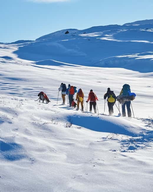Trolltunga Day Hike - The Itinerary: A Day of Scenic Highlights and Physical Challenge