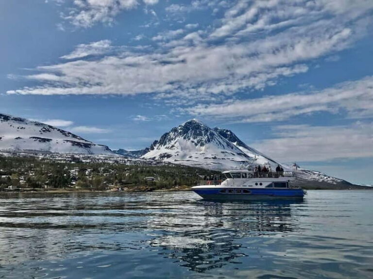 Tromsø: 2-Hour Island Tour Cruise with Snacks and Drinks - Practical Details and Tips