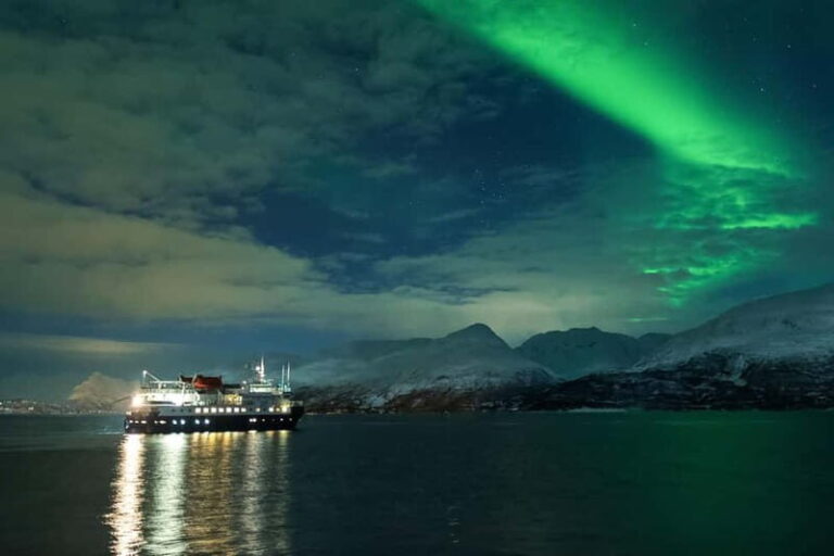 Tromsø: 24hr Northern Lights & Whale Watching Cruise - The Whale Watching Experience