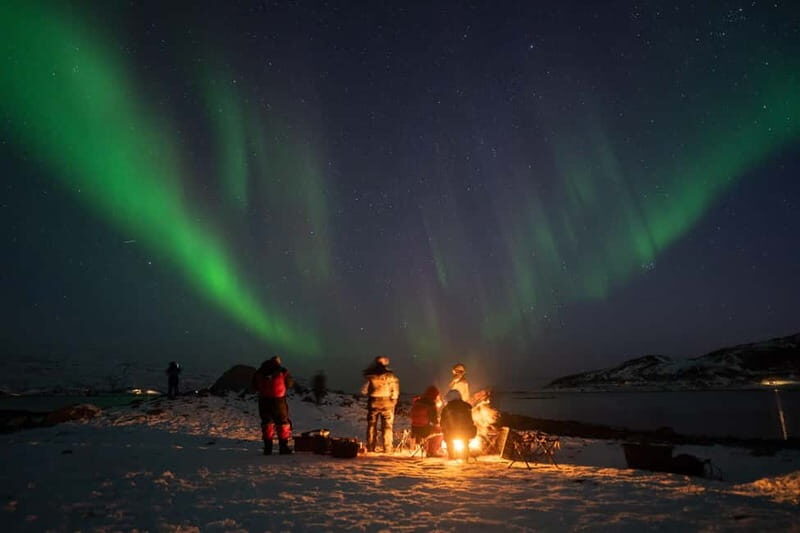 Tromsø: Adult Only Aurora hunt with Citizen Science - The Value of This Experience
