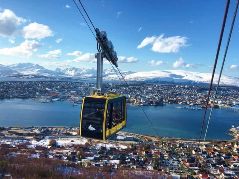 Tromso: Arctic Panorama Cable Car Excursion - What to Expect During Your Visit