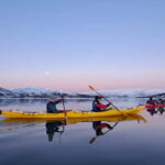 Tromsø: Easy Winter Kayaking Tour with Seal Watching - Is It Worth the Price?
