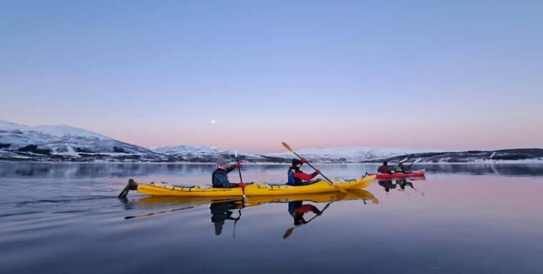 Tromsø: Easy Winter Kayaking Tour with Seal Watching - Is It Worth the Price?