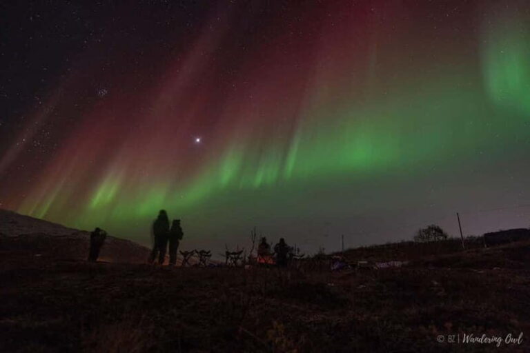 Tromsø: Express Aurora Hunt - The Value: Is It Worth It?