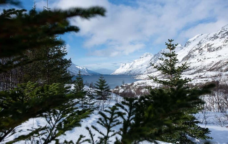 Tromsø: Express Fjord Road Trip - Practical Details and Tips