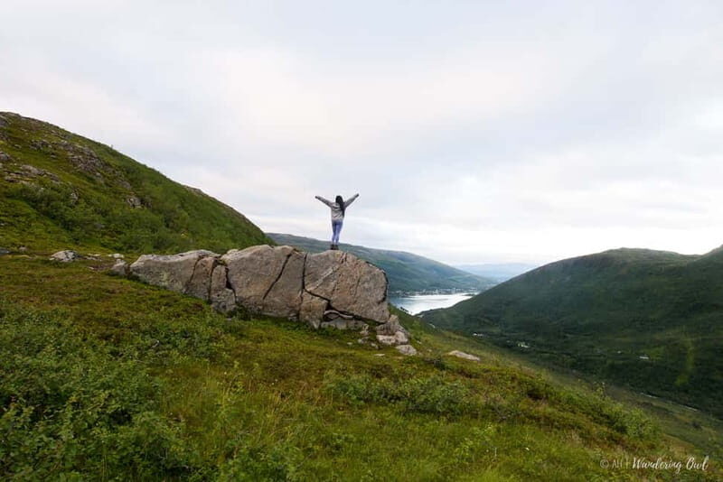 Tromsø: Express Summer Day Hike in the wilderness - Exploring the Itinerary and Experience