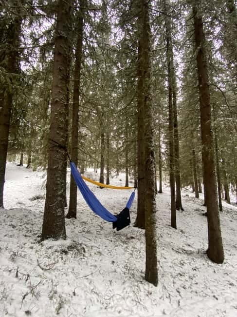 Tromsø: Forest escape adventure - The Practical Side: What You Need to Know