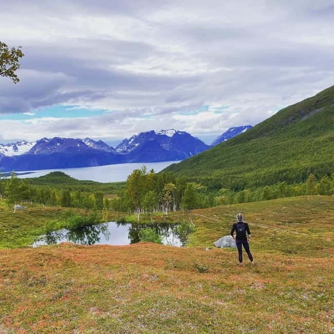 Tromsø: Guided Hiking Tour with Roundtrip Transfers - Who Would Love This Experience?