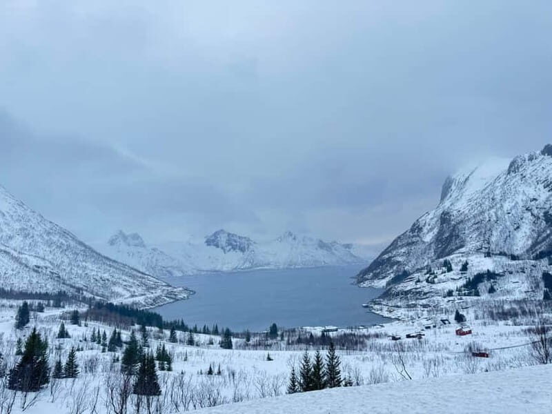 Tromsø Half-Day Tour: Fjords & Sommarøy Adventure - The Itinerary in Detail