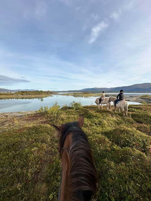 Tromsø: Horseback Riding Tour - Exploring Tromsø’s Horseback Riding Experience
