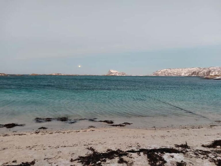 Tromsø: Island of Kvaløya Scenic Sightseeing Minibus Tour - What You Can Expect from the Tour