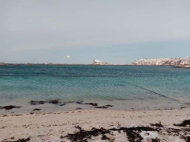 Tromsø: Island of Kvaløya Scenic Sightseeing Minibus Tour - What You Can Expect from the Tour
