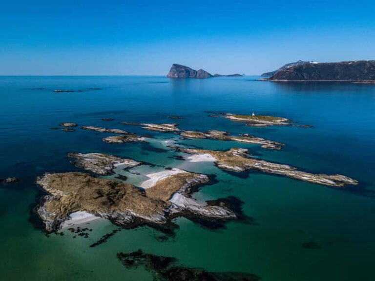 Tromsø: Midnight Fjord Tour - Is This Tour Worth the Price?