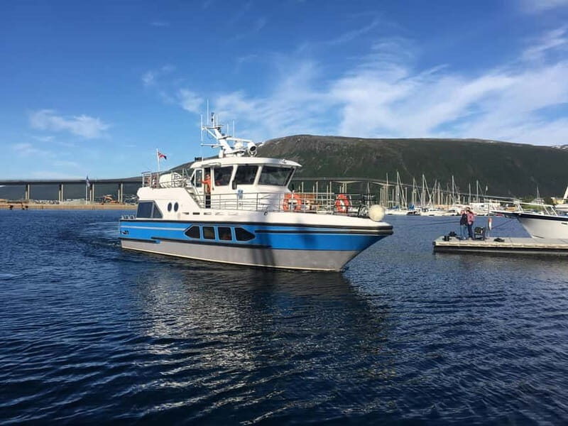 Tromsø: Midnight Sightseeing Cruise All-inclusive - Who Will Love This Tour?