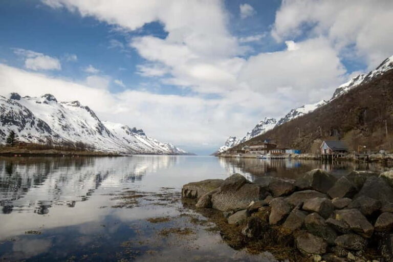 Tromsø: Midnight Sun Adventure with Lunch and Photos - Who Will Love This Tour?
