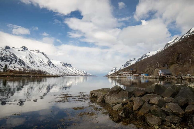 Tromsø: Midnight Sun Adventure with Lunch and Photos - Who Will Love This Tour?