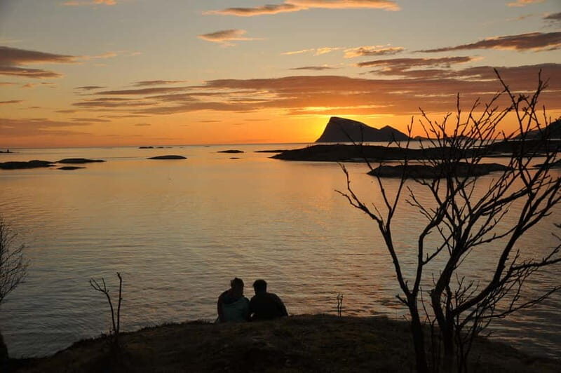 Tromsø: Midnight Sun, Campfire, Beach, Evening Tour - Why This Tour Is Worth It