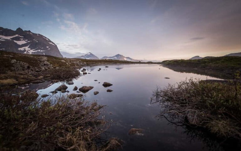 Tromsø: Midnight Sun Hike in the wilderness - Pricing & Value