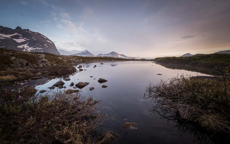 Tromsø: Midnight Sun Hike in the wilderness - Pricing & Value