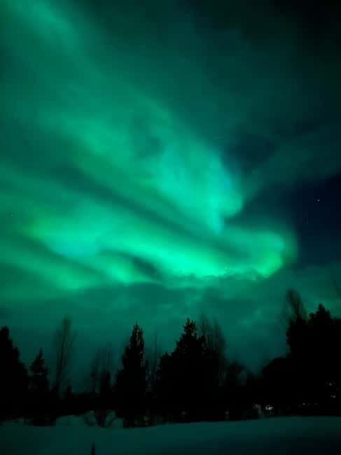 Tromsø: Northern Lights and a Starlit Adventure Tour - Who is This Tour Perfect For?