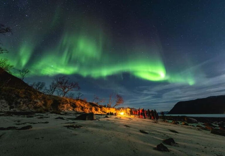 Tromsø: Northern Lights Focus Tour, German/English, minibus, meal - Why This Tour Offers Great Value