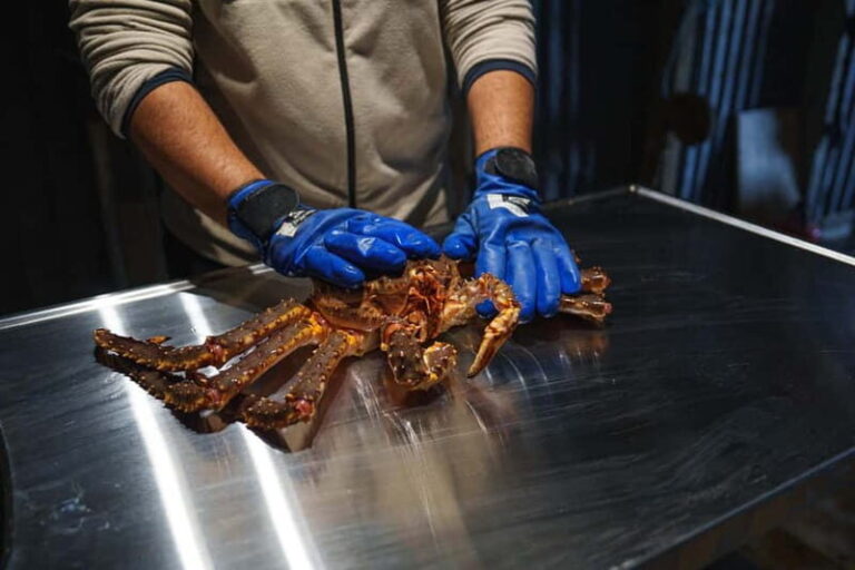 Tromsø: Northern Lights Live King Crab Dinner by the Sea - What Makes This Tour Stand Out