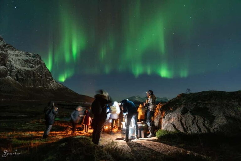 Tromsø: Northern Lights Safari - Why Choose the Tromsø Northern Lights Safari?