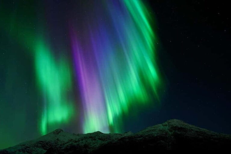 Tromsø: Northern Lights Tour with Free Professional Photos - A Closer Look at the Tour Experience