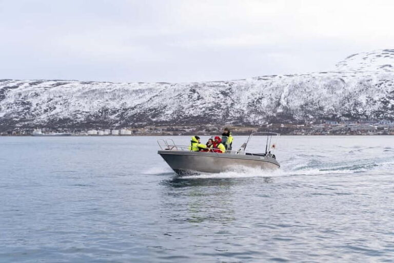 Tromsø: Private Fjord Boat Tour Around the City - Value and Practical Considerations