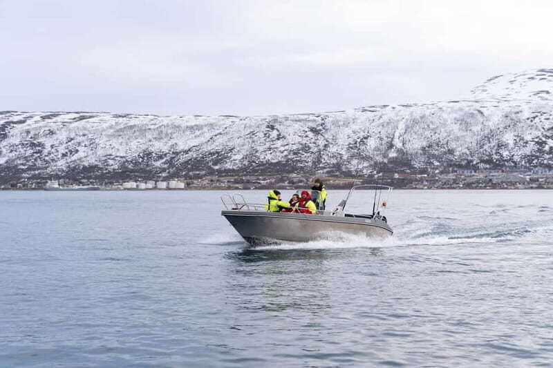 Tromsø: Private Fjord Boat Tour Around the City - Value and Practical Considerations