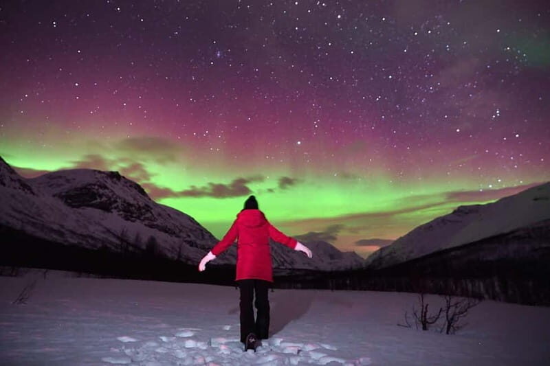 Tromsø: Private Northern Lights Tour with Pro Photographer - What Makes This Tour Special?