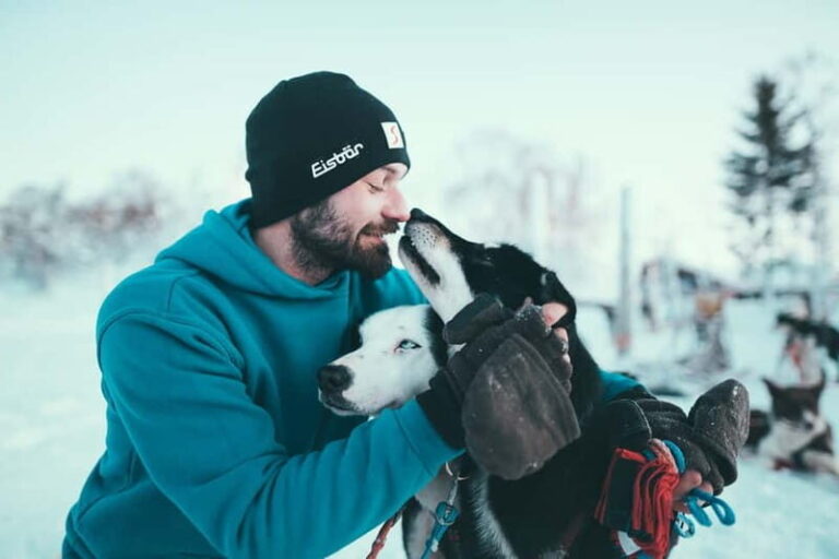 Tromsø: Self-Drive Husky Dog Sledding Adventure - The Value of This Tour
